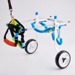 Etos cz Invalidní vozík pro psy a kočky L – Hledejceny.cz