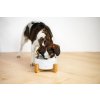 Miska, napáječka, zásobník Vsepropejska Odelie mramorová keramická Miska pro psa či kočku 15 cm