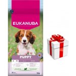 Eukanuba Puppy Small & Medium Lamb 12 kg – Hledejceny.cz