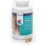 NutriCareVet Joint support Feline 300 tbl – Zboží Dáma