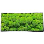 Mechový obraz - Kopečkový mech Druh rámu: 50x30cm – Zboží Mobilmania