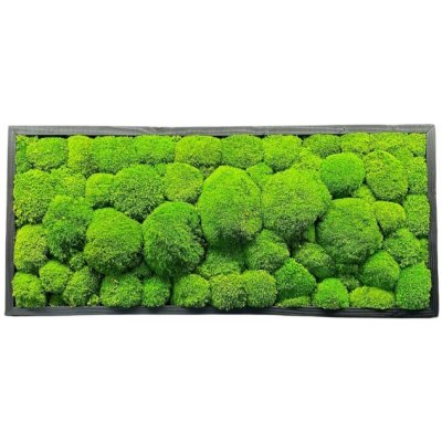 Mechový obraz - Kopečkový mech Druh rámu: 50x30cm – Zboží Mobilmania