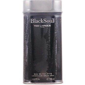 Ted Lapidus Black Soul toaletní voda pánská 100 ml