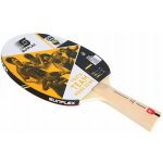 Sunflex Youth Team Hong Kong – Sleviste.cz