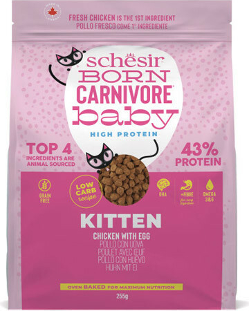 Schesir Cat Born Carnivore Kitten Čerstvé kuřecí s vejcem 255 g