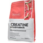 Ostrovit Creatine monohydrate 1000 g – Sleviste.cz