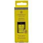 CHhesapeake Bay Aroma olej Optimism 10 ml – Hledejceny.cz