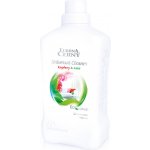 Eurona by Cerny Univerzální úklidový prostředek Malina a máta 1 000 ml – HobbyKompas.cz