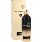 Montale Spicy Aoud parfémovaná voda unisex 100 ml – Hledejceny.cz