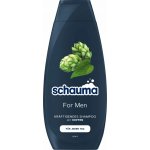 Schauma Men šampon 400 ml – Hledejceny.cz