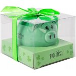 Albi Pokladnička Prasátko Pro štěstí zelené – Zboží Dáma