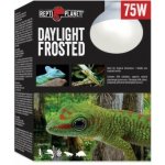 Repti Planet Daylight Frosted 75 W – Hledejceny.cz