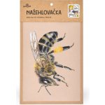 Lesní svět Nažehlovačka M 010 - Včela – Zboží Dáma
