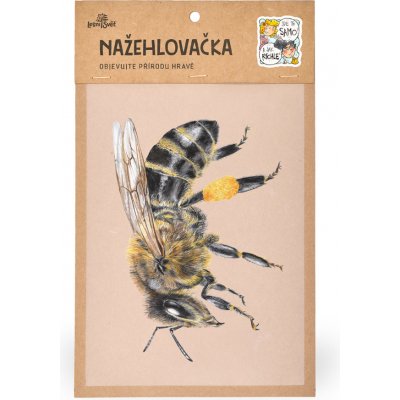 Lesní svět Nažehlovačka M 010 - Včela – Zboží Dáma