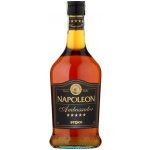 Fernet Stock Napoleon Ambassador 28% 0,7 l (holá láhev) – Zboží Mobilmania