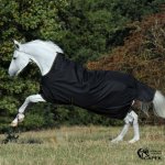 Bucas Deka výběhová IRISH TURNOUT LIGHT HIGH NECK Černá – Zboží Dáma