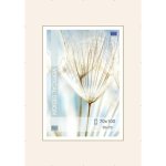 Falc Clip rám 70x100cm – Zboží Mobilmania