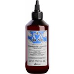 Davines Naturaltech Rebalancing Cleansing Treatment 250 ml – Hledejceny.cz