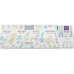 Biogena Wellness Selection kazeta čajů maxi 4 x 10 ks – Sleviste.cz