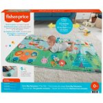 Fisher Price Podložka na hraní extra big adventures – Hledejceny.cz