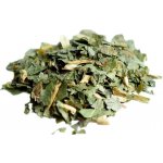 Salvia Paradise Medvědí Česnek nať 250 g – Sleviste.cz