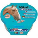 Horslyx Mint 0,65 kg – Zbozi.Blesk.cz