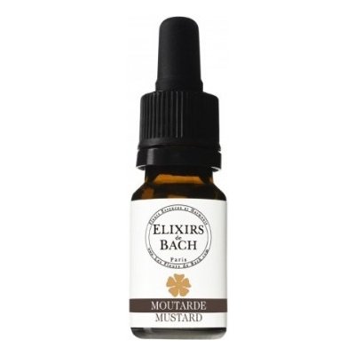 Bachovy květové esence Hořčice polní Mustard 10 ml – Hledejceny.cz