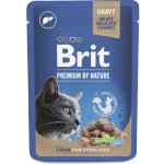 Brit Premium Cat Sterilised Liver 100 g – Zbozi.Blesk.cz
