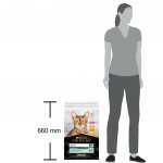 Pro Plan Adult Renal Plus kuře 10 kg – Zboží Dáma