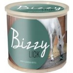 Bizzy Lick Minerální liz pro koně Máta 1 kg – Hledejceny.cz