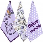 HOME ELEMENTS Nejlepší maminka 2 50 x 70 cm 3ks – Zboží Mobilmania