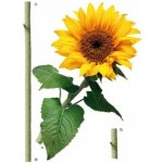 Ag Design AGF00476 samolepící dekorace Sunflower F 0476 Slunečnice rozměry 65 x 85 cm – Zboží Dáma