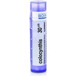 COLOCYNTHIS POR 30CH GRA 1X4G – Hledejceny.cz
