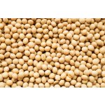 Les fruits du paradis Sojové boby Bio 3000 g – Zboží Dáma
