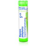 MAGNESIA PHOSPHORICA POR 5CH GRA 1X4G – Hledejceny.cz
