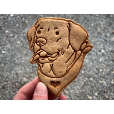 TVOŘÍTKO Labrador XVII - vykrajovátko – Hledejceny.cz