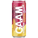 Gaam Jahoda Ananas 330 ml – Zboží Mobilmania
