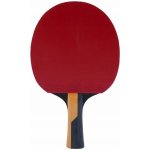 Butterfly Timo Boll Carbon – Zboží Dáma