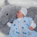 ESITO Spací pytel Teddy bears modrá – Hledejceny.cz