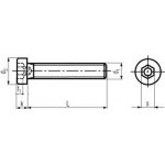 imbus M12x20 ZINEK 8.8 nízká válcová hlava DIN 6912 [1 ks] – Hledejceny.cz