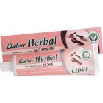 Dabur Cavity Protection s Hřebíčkem 100 ml – Zbozi.Blesk.cz