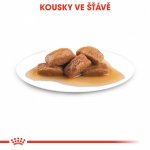 Royal Canin Maxi Adult 10 x 140 g – Zbozi.Blesk.cz