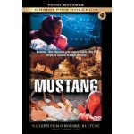 Mustang DVD – Hledejceny.cz