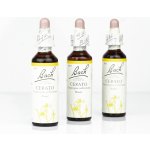 Bachovy květové esence Cerato Rožec 20 ml – Hledejceny.cz