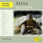 Želva zelenavá - Abeceda teraristy - Velenská Nataša, Brožovaná – Hledejceny.cz