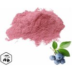 LifeChi Borůvka (Blueberry) extrakt v prášku 50 g – Hledejceny.cz