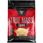BSN True Mass 1200 4800 g – Zboží Dáma