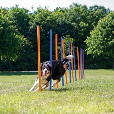 Trixie agility slalom tyče 12ks – Zboží Mobilmania