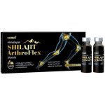 HealthNA Mumio Shilajit ArthroFLEX 10 x 10 ml – Hledejceny.cz
