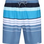 Regatta Loras Swim Short RMM014 DKW – Zbozi.Blesk.cz